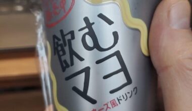 It could have been the best thing I ever tasted. It wasn't. It was and experience though. (飲むマヨ = drinking mayonnaise)