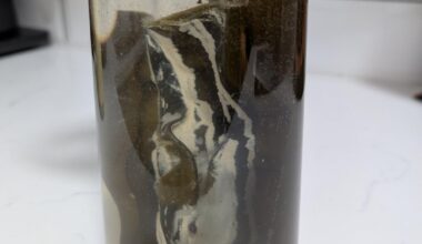 Is this normal for kombu? First time using it!