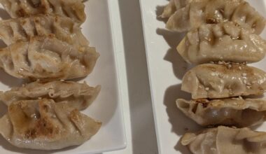My first attempt at Gyoza