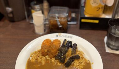 Coco Curry with nasu and kaki furai