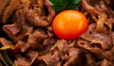 I made Gyudon Better