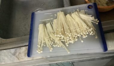 First time enoki buyer