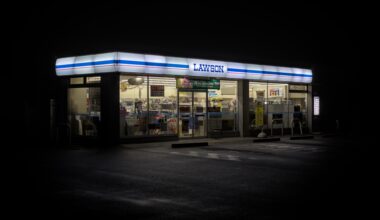 Went into 2025 by taking a walk around the neighborhood. Here is a picture of a Lawson. Cliché?