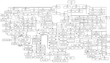 I made a board of Every puro company I could connect to JWA/NJPW/AJPW. What do yall think! Anyplace I've missed?