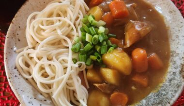 Kare Udon 🍜