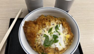 Katsudon dinner at a restaurant in the Shinbashi area of Tokyo