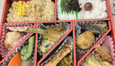 Tohoku Revitalization Bento on the Joetsu Bullet Train