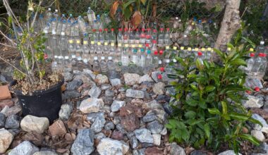 Just off the Kamo river in central Kyoto there is an area where there are thousands of water bottles, this picture isn’t even a tenth of them - does anyone know why they have been put there?