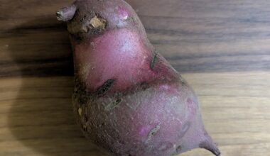 What's your favorite way to cook and eat satsumaimo potatoes?