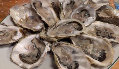 Fresh Oyster