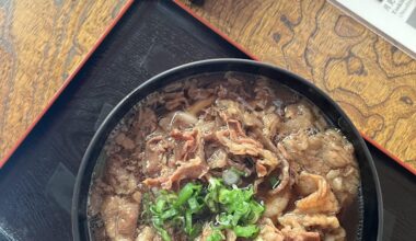 Niku Udon in Arashiyama