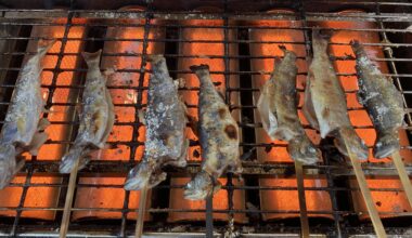 BBQ Ayu - river fish from Fukuoka. Caught and cooked by me! :)