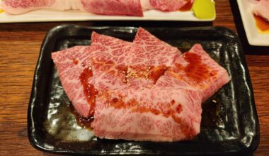 Solo Dinner at Tagyu Yakiniku Hakata