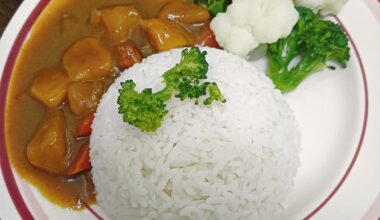 my lunch yesterday homemade curry