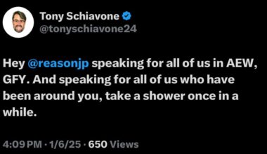 Schiavone replies to Charlton: is it a fake?