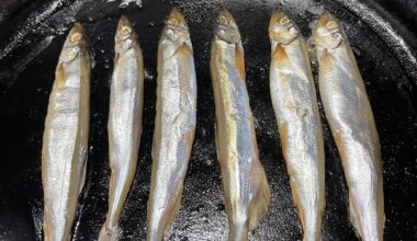 Shishamo marinaded in mirin and salt