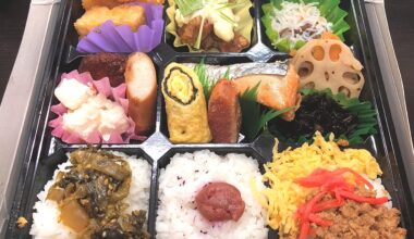 Bento box in Shinkansen