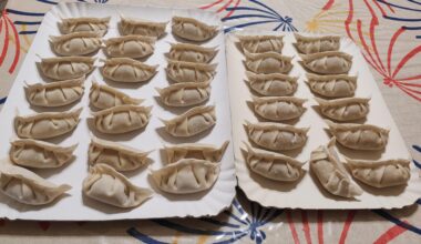 made a fresh batch of gyoza