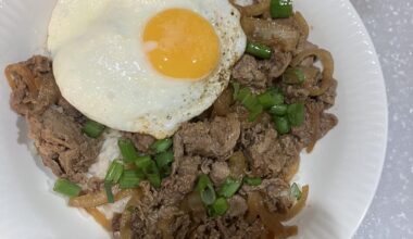 Again just the basics, Gyudon! 牛丼