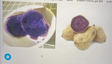 Is this a Okinawa purple sweet potato?