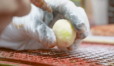 Creating fake food for restaurant store-front displays in Japan