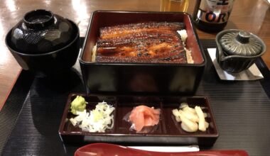 Delicious Unagi in Fukuoka at Unagi Naruse