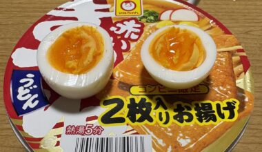 Instant udon with boiled egg on top..