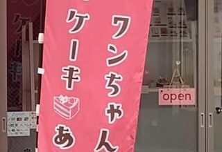 am i supposed to read right to left or left to right when the language is written vertically?