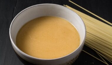 Tonkatsu Broth advice