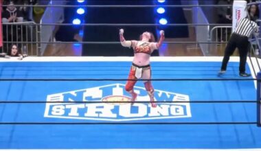 Women's elimination match team Mina vs team Anna