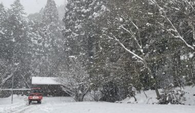 Uhhhhh I think it snowed yesterday?