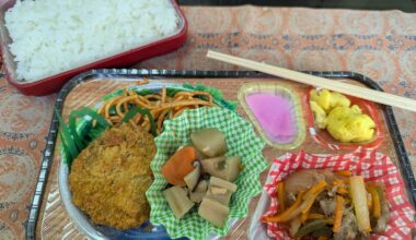 Daily lunch bento. It cost ¥400, or about $2.66 and is different every day. They're always delicious though.