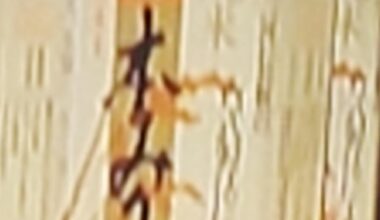 ID Request