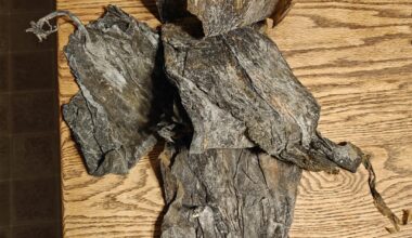 Is this Kombu gold, or potentially poison.