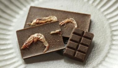 Shizuoka sakura shrimp soy sauce chocolate