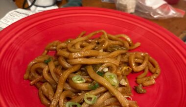 Homemade udon stir fry