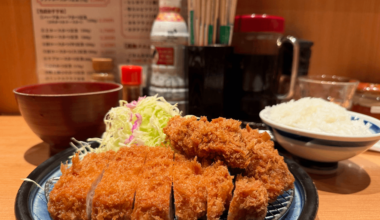 Tonkatsu in Ginza hits different!