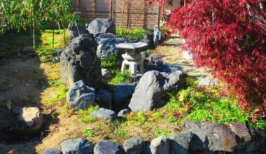 Next Green Drinks Kyoto - Mar 19th at 7pm