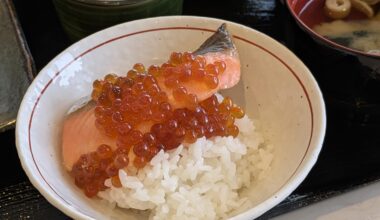 Mini oyakodon (salmon and salmon roe) for breakfast in 🇯🇵Hokkaido.