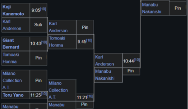 The winner of the 2008 New Japan Cup, if every bracket was flipped.