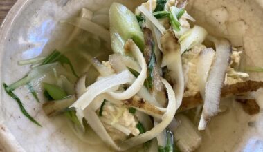 Japanese and Chinese orchestrated dish, Chinese soup with green onions, burdock root, and chicken balls