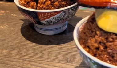 総重量1kg超えの巨大鰻玉丼(Gian