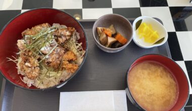 Karaage-don at the Sodegaura Forest Raceway restaurant