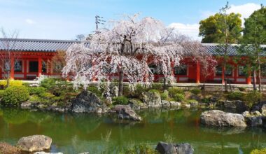 Sakura beginning to pop at Kennin-ji, Sanjuusangen-do
