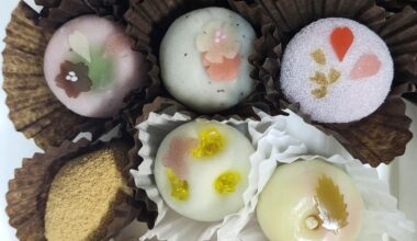 Enjoyed this beautiful mochi from Chikara Mochi