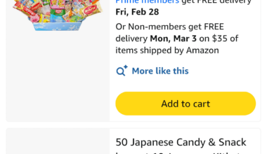 Japanese Treat Box Recommendations?