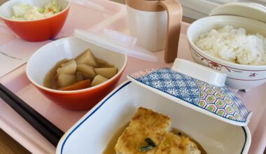 My Japanese Hospital Lunch