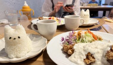 cat rice… meow