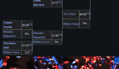 The winner of the 2009 New Japan Cup, if every bracket was flipped.