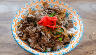 Look mom, I made Gyudon!!